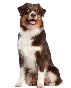 slide 4.b8f344088221b9e7759b